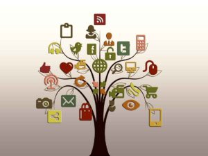 Structured Data SEO